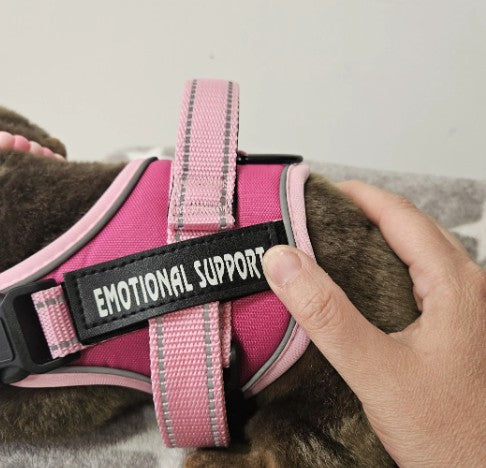 Emotional Support Stuffed Animal German Shephard with Harness