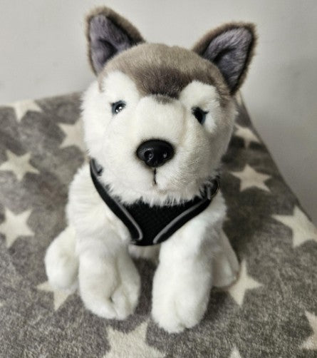 Emotional Support Stuffed Animal Husky Dog with special black harness